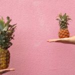 Comparison - Two People Holding Pineapple Fruit on Their Palm