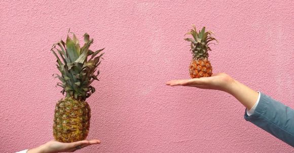 Comparison - Two People Holding Pineapple Fruit on Their Palm